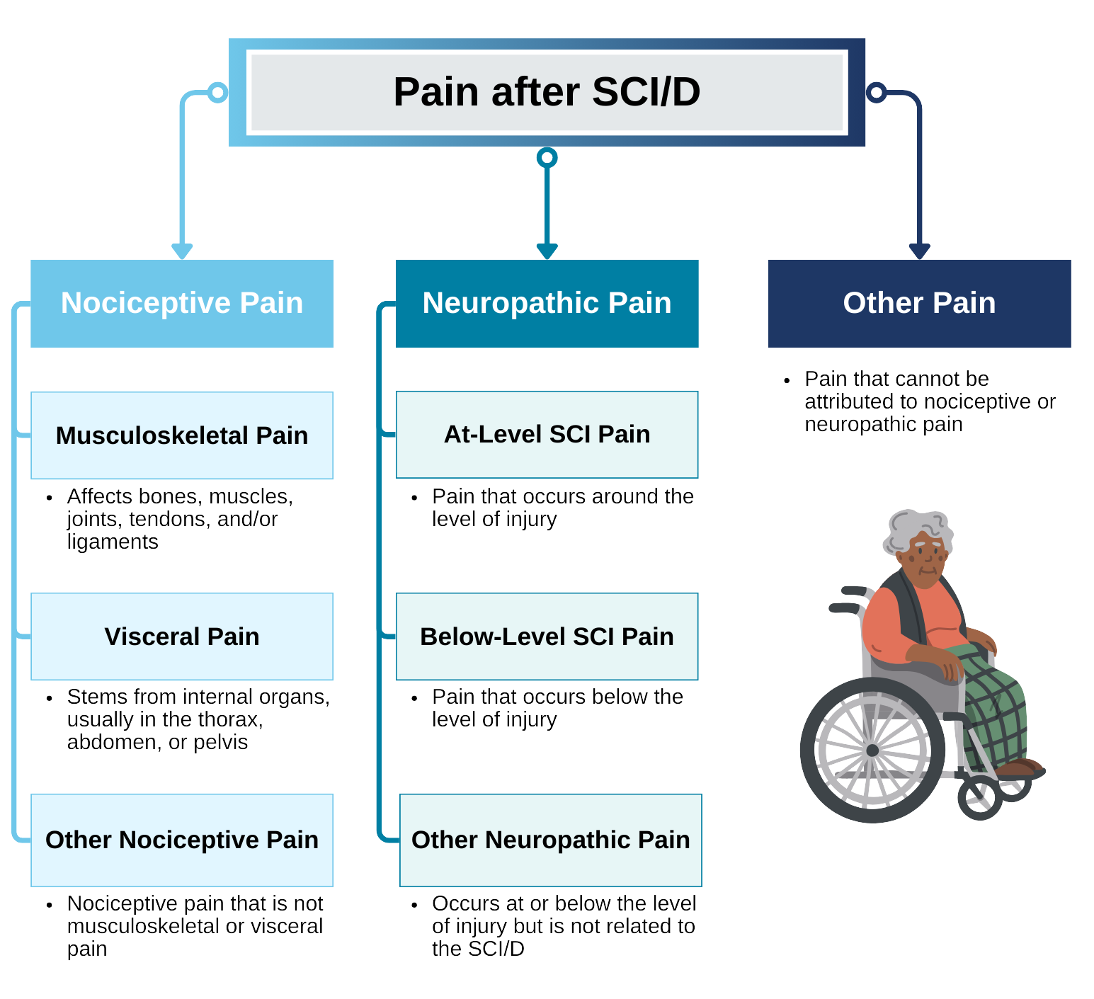 Pain and pain management - MedManageSCI